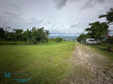 091025 Sr 119 Km 28 7 Int Bo Hoyamala Sector Lechuza, San Sebastián, PR 00685 - photo 5