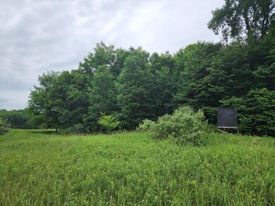 01 1 Mile Rd, Reed City, MI 49677 - photo 7