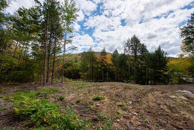 12-12-10-4 Jacob Hall Farm Rd, Rumney, NH 03266 - photo 5