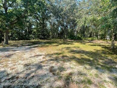 720 Sandy Hook Dr, Forked River, NJ 08731 - photo 7