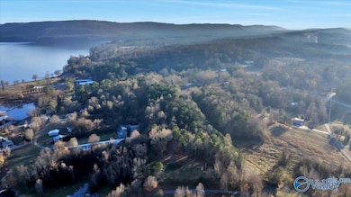 5.58 ac Rachel Rd, Langston, AL 35755 - photo 2