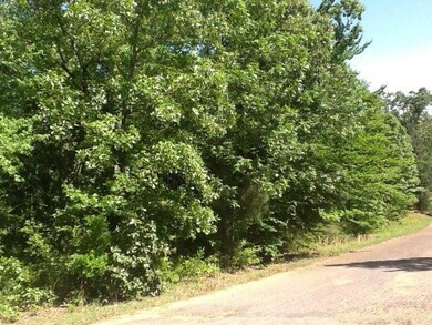 000 Cedar Cove, Summit, MS 39666 - photo 3