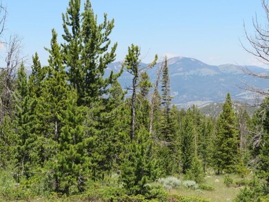 Bonanza Quartz Hill Rd, Wise River, MT 59762 - photo 3