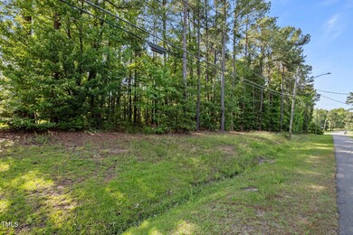 10-web-or-mls-P1065327
