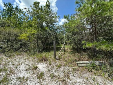 796 Fisher Rd, Ocklawaha, FL 32179 - photo 5