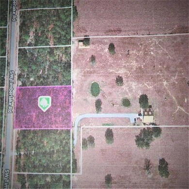 LOT 24 SW Timberlake Rd, Dunnellon, FL 34431 - photo 3