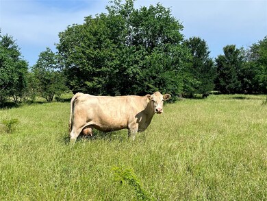 000 Fm 71, Talco, TX 75487 - photo 3