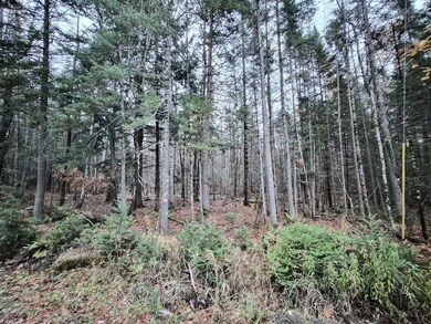 20251023_173701_result