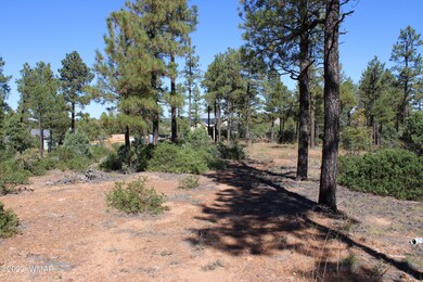 441 E Huckleberry Ln, Show Low, AZ 85901 - photo 5