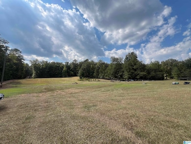 6809 Lou George Loop, Bessemer, AL 35022 - photo 2