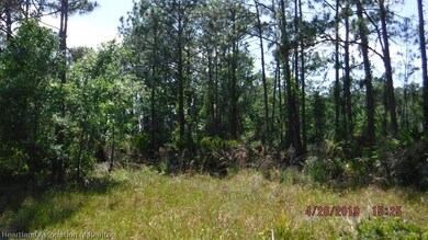 2101 Alladin St, Sebring, FL 33875 - photo 3