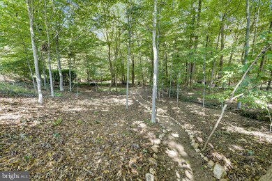 14203 Castaway Dr, Rockville, MD 20853 - photo 6