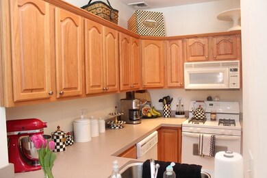 817 E 4th St unit 2, Boston, MA 02127 - photo 5