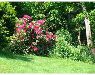 Yard/Garden.