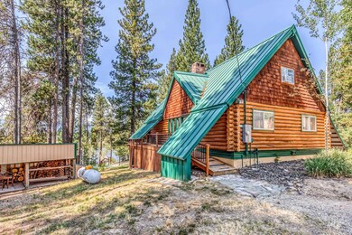 97 Alder Way, Cascade, ID 83611 - photo 4