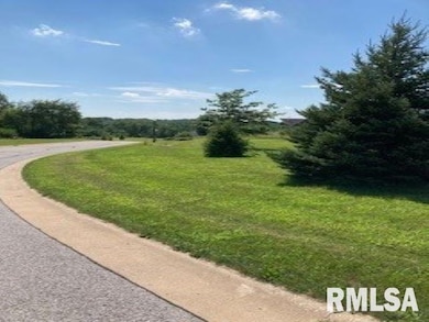 3913 229th Street Cir N, Port Byron, IL 61275 - photo 3