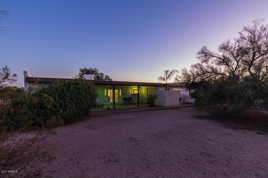 Backyard at Night