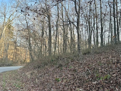 Lot 15 Hensley Rd, East Bernstadt, KY 40729 - photo 6