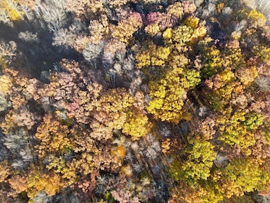 Lot 4 320th St, Forest Township, WI 54005 - photo 3