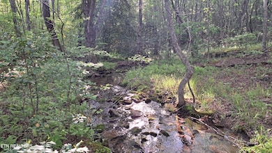 Lot 20 Airport Rd (Pca), Rockwood, TN 37854 - photo 4