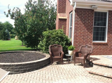Oversized lot!