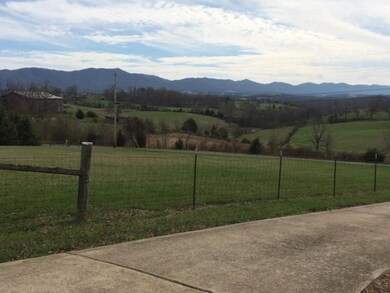 Mountain View From Front