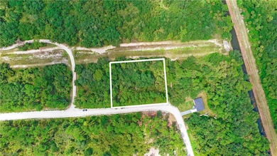 4235 E 31st St, Alva, FL 33920 - photo 2