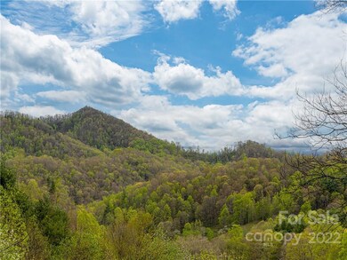 763 Shepherd Branch Rd, Burnsville, NC 28714 - photo 3