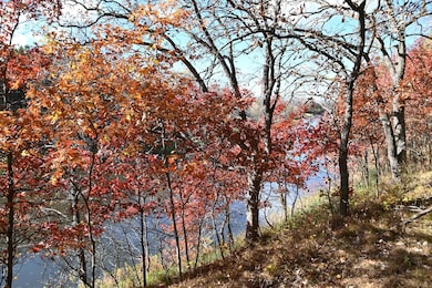 38869 Odin Ct, Ward Township, MN 56438 - photo 4