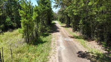 TBD Selma Loop, Georgetown, LA 71432 - photo 5