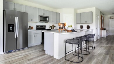 36743 Sagemoor Dr, Zephyrhills, FL 33541 - photo 4