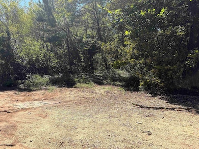 0 Bethuel Rd unit 1, Unincorporated, TN 38053 - photo 4