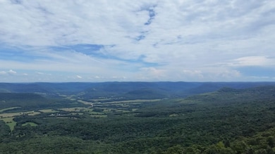 0 Tbd Hwy 74e, Mount Judea, AR 72655 - photo 5