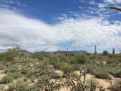 Venus Drive - Lot #21