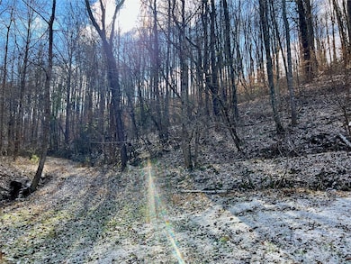 1927 Ammons Branch Rd, Marshall, NC 28753 - photo 4