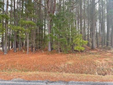 Frontage on Pleasants Road