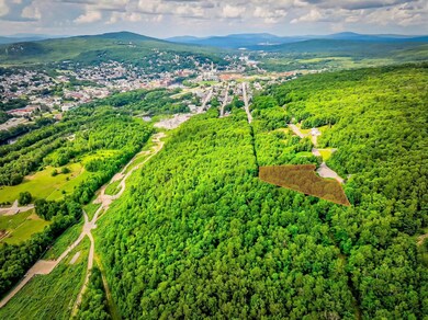 Lot 1 Hillsboro St, Berlin, NH 03570 - photo 4