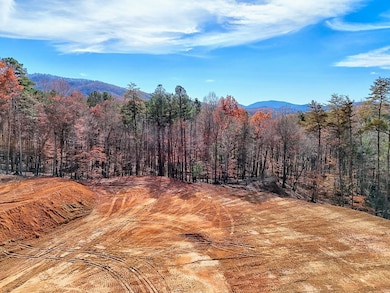 223 Watkins Rd, Blairsville, GA 30512 - photo 4