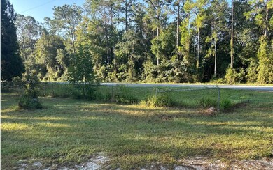 0 Highway 100 unit 128519, Lake Butler, FL - photo 7