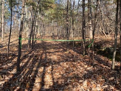 0 Quail Way unit 7685106, Jasper, GA 30143 - photo 5