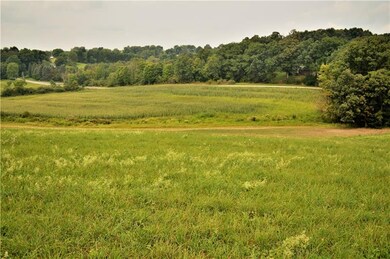 View from Meadowview Cul De Sac  with crops plante