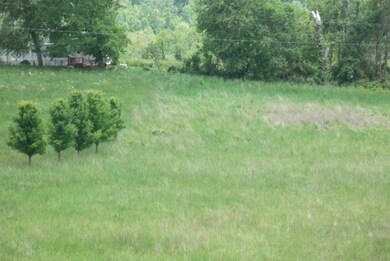 Lot View