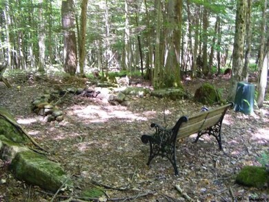 4 Cuyler St, Hadley, NY 12835 - photo 6