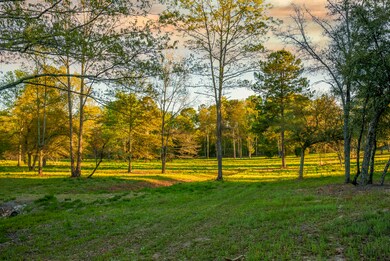 Prime Pasture Land Awaits