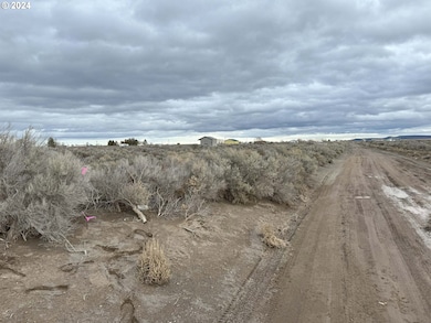 0 E Thorn Ln unit 2300, Christmasvalley, OR 97641 - photo 3