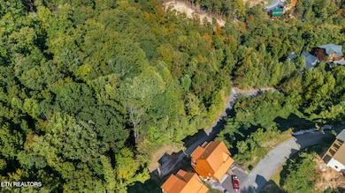 dji_20251010150530_0950_d