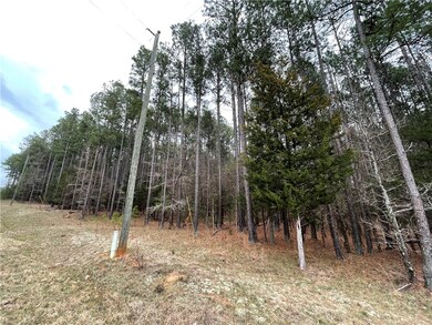 00 Twin Fawn Dr, Elberton, GA 30635 - photo 3