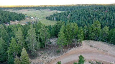 1730 E Willis Creek Cir unit 44, 45, Duck Creek Village, UT 84762 - photo 6