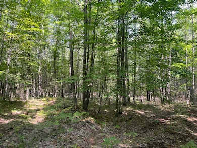 Woodland