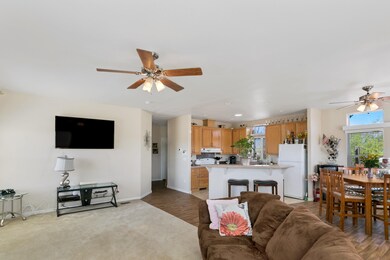 Living room & kitchen